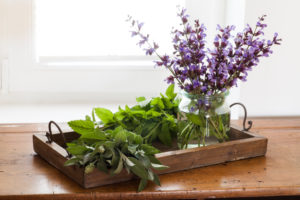 Herbs on wooden tray Herbs on wooden tray